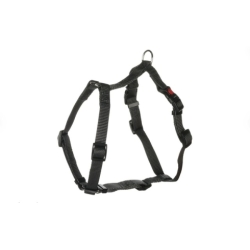 Flamingo koera H-traksid Ziggi M, tumehall