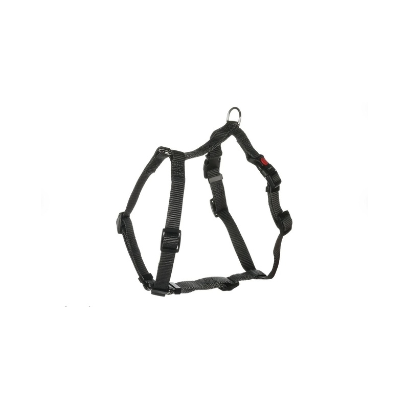 Flamingo koera H-traksid Ziggi M, tumehall