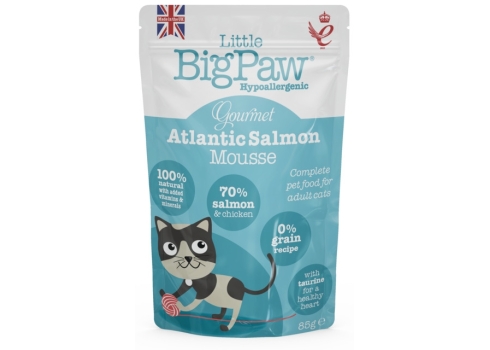 Little Bigpaw kassi einekotike Mousse lõhega 85 g