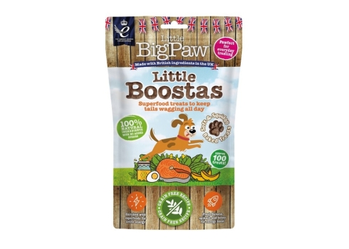 Little Bigpaw koera maius Superfood lõhega 90 g