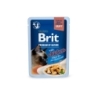 Brit Premium Delicate Chicken Fillets in Gravy märgtoit steriliseeritud kassidele 85g Brit Premium Delicate Chicken Fillets in Gravy märgtoit steriliseeritud kassidele 85g