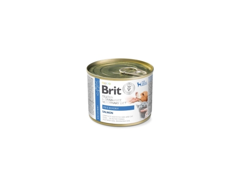 Brit Veterinary Diet Recovery konserv koertele ja kassidele 200g