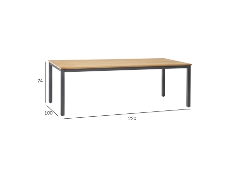 Laud MONTANA 220x100xH76cm, tiik