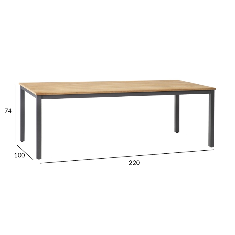 Laud MONTANA 220x100xH76cm, tiik