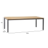Laud MONTANA 220x100xH76cm, tiik