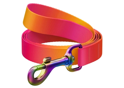 WAUDOG jalutusrihm koertele 122cm, oranž, M