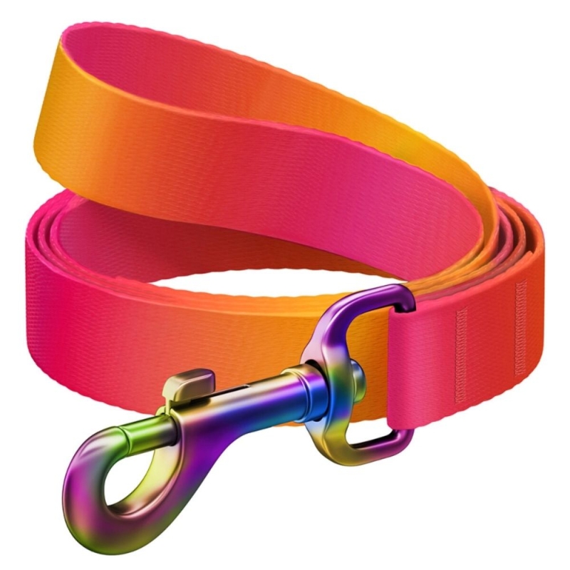 WAUDOG jalutusrihm koertele 122cm, oranž, M