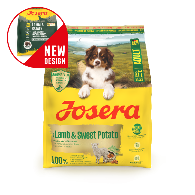 Josera Adult Lamb&Sweet Potato koeratoit 900g