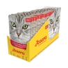 Josera kassieine pasteet veise- ja kanalihaguljaššiga 16x85g