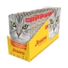 Josera kassieine pasteet kana ja spinatiga 16x85g