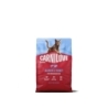 Carnilove Active Salmon & Turkey Adult Sterilised kassitoit 2kg