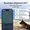 Petloc8 Mini GPS jälgimisseade kassile/koerale