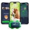 Petloc8 GPS jälgimisseade koerale