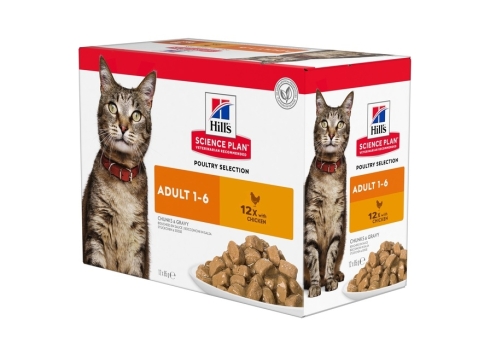 Hills kassi einekotike kana 12x85g