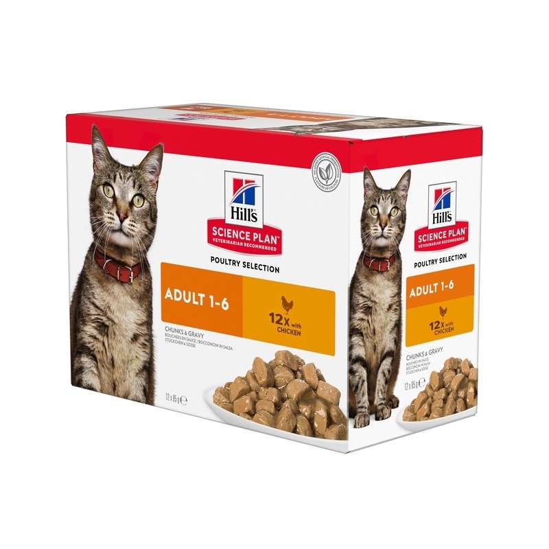 Hills kassi einekotike kana 12x85g