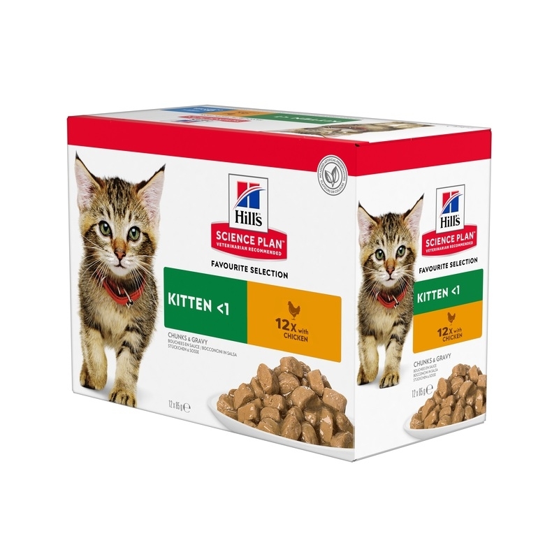Hills kassipoja einekotike kana 12x85g