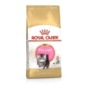 Royal Canin Kitten Persian 32 2kg kassipojatoit, kassitoit