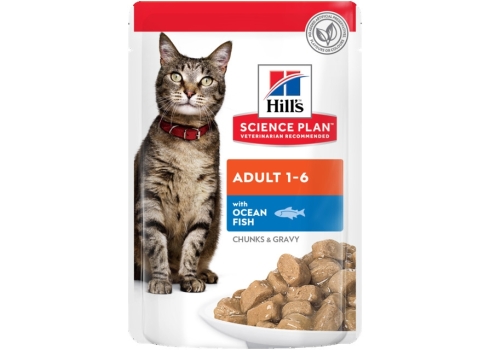 Hills kassi einekotike ookeanikala 12x85g