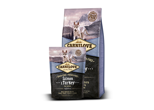 CARNILOVE Salmon & Turkey for Puppies koeratoit 12kg