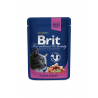 Brit Premium kassikonserv Salmon & Trout 24x100g