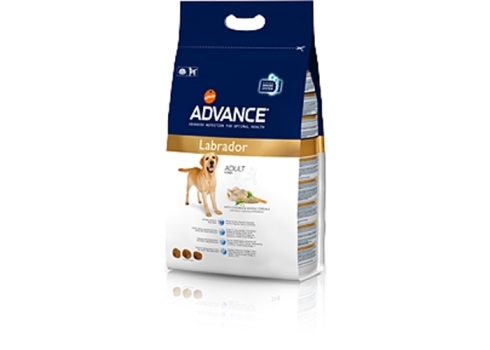 Advance koeratoit Labrador Retriver 12kg koeratoidud tõugudele