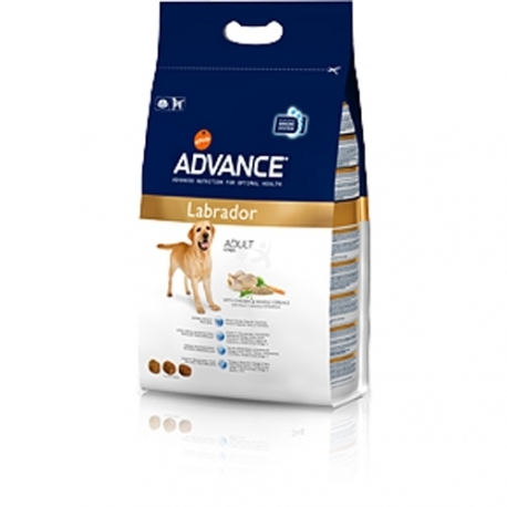 Advance koeratoit Labrador Retriver 12kg koeratoidud tõugudele