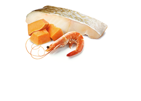 Farmina Ocean Codfish, Shrimp & Pumpkin kassikonserv