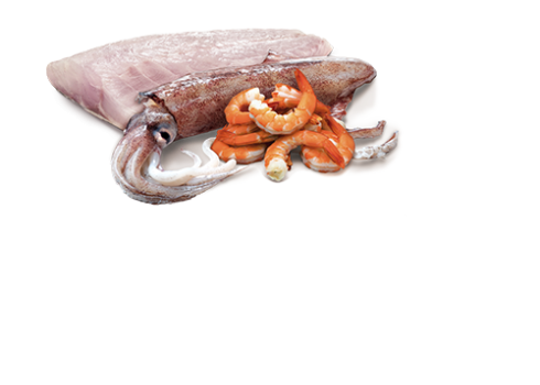Farmina Ocean Sea Bass, Squid & Shrimp kassikonserv 12x80g