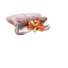 Farmina Ocean Sea Bass, Squid & Shrimp kassikonserv 12x80g