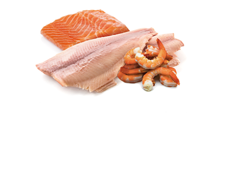 Farmina Trout, Salmon & Shrimp kassikonserv 12x80g