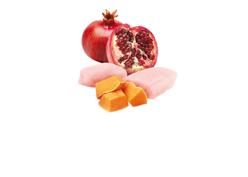 Farmina Chicken, Pumpkin & Pomegranate kassikonserv 12x80g