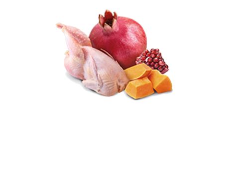 Farmina Quail & Pumpkin kassikonserv 12x80g