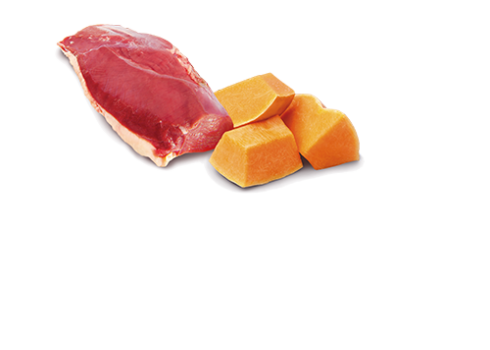 Farmina Duck & Pumpkin kassikonserv 12x80g