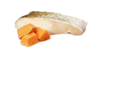 Farmina Ocean Cod & Pumpkin koerakonserv 6x285g