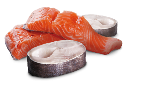 Farmina Ocean Salmon & Cod koerakonserv 6x285g