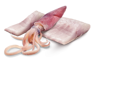 Farmina Ocean Sea Bass & Squid koerakonserv 6x285g