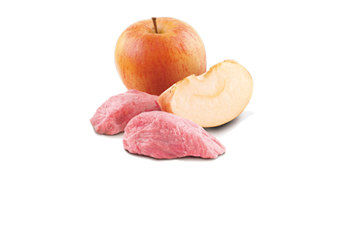 Farmina Prime Boar & Apple koerakonserv 6x285g