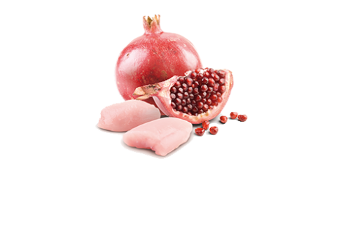 Farmina Prime Chicken & Pomegranate kassikonserv 12x80g