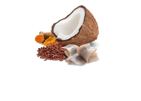 Farmina Quinoa Skin & Coat - Herring & Coconut kassikonserv 12x80g