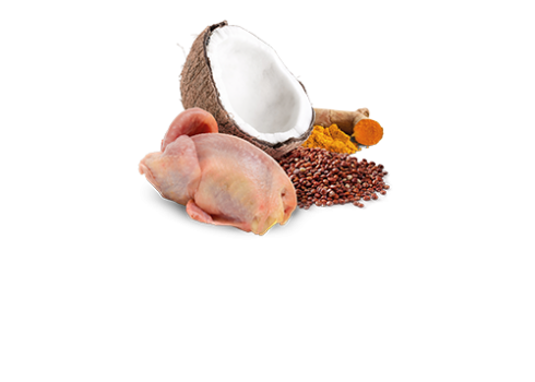 Farmina Quinoa Skin & Coat - Quail & Coconut kassikonserv 12x80g