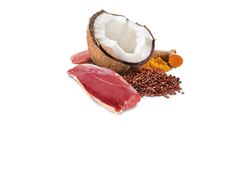 Farmina Skin & Coat - Duck & Coconut koerakonserv 6x285g