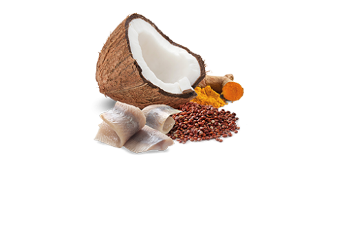 Farmina Skin & Coat - Herring & Coconut koerakonserv 6x285g