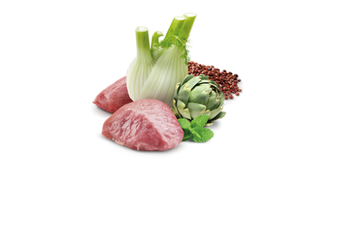 Farmina Quinoa Digestion koerakonserv 6x285g