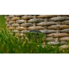 Aiamööbli komplekt Bello Giardino MODICO tumepruun, 2 tooli + laud