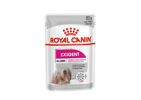 ROYAL CANIN CCN Exigent Loaf koeratoit 12x85g
