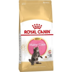 ROYAL CANIN FHN Mainecoon Kitten kassitoit 2kg