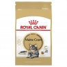 Royal Canin Maine Coon 31 4kg kassitoit, Royal Canin kassitoit