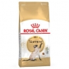 Royal Canin Siamese 38 4kg kassitoit, Royal Canin kassitoit