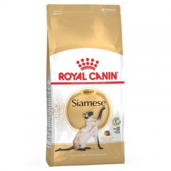 Royal Canin Siamese 38 10kg kassitoit, Royal Canin kassitoit