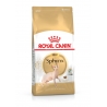 Royal Canin Sphynx 10kg kassitoit,, Royal Canin kassitoidud